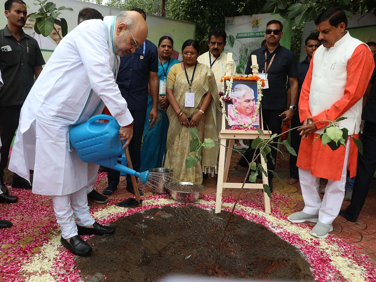 Union home minister Amit Shah plants tree in the name of his mother on BSF premises in Reoti Range on Sunday 